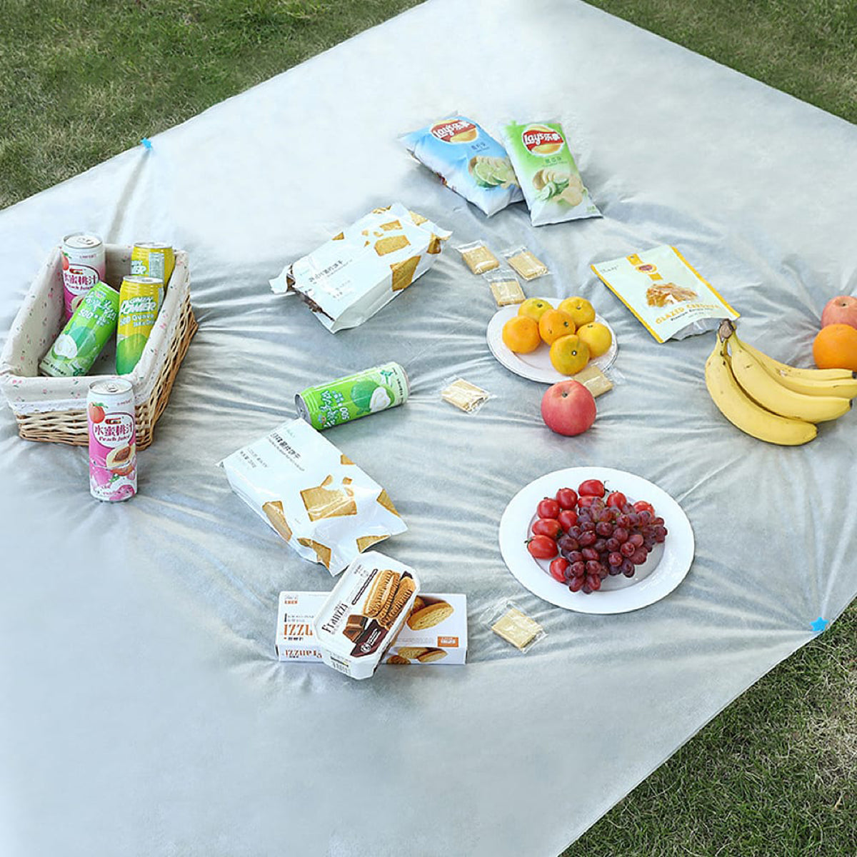 Fasola Disposable Picnic Mat 150*200cmX6Pack