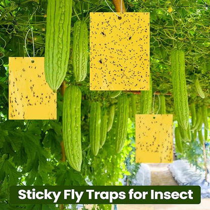 Bonzer Hanging Sticky Flying Trap Paper Adhesive Flying Insect Traps Outdoor Yellow 20Traps & Strings40 1pack