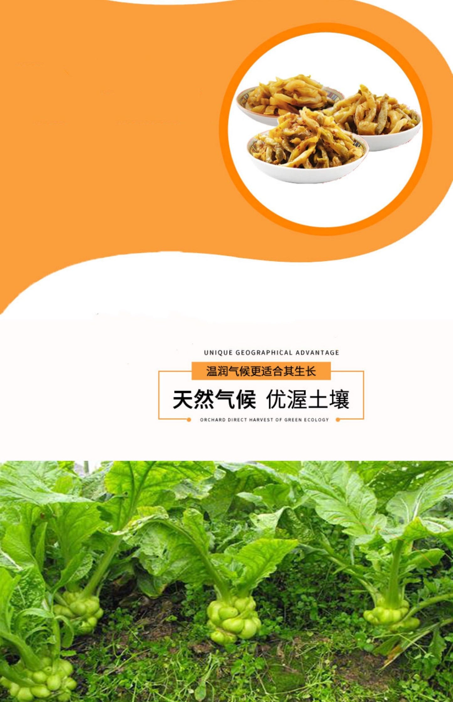 Wujiang Zhacai 80g Refreshing Taste Pickled Mustard Greens 3 Packs