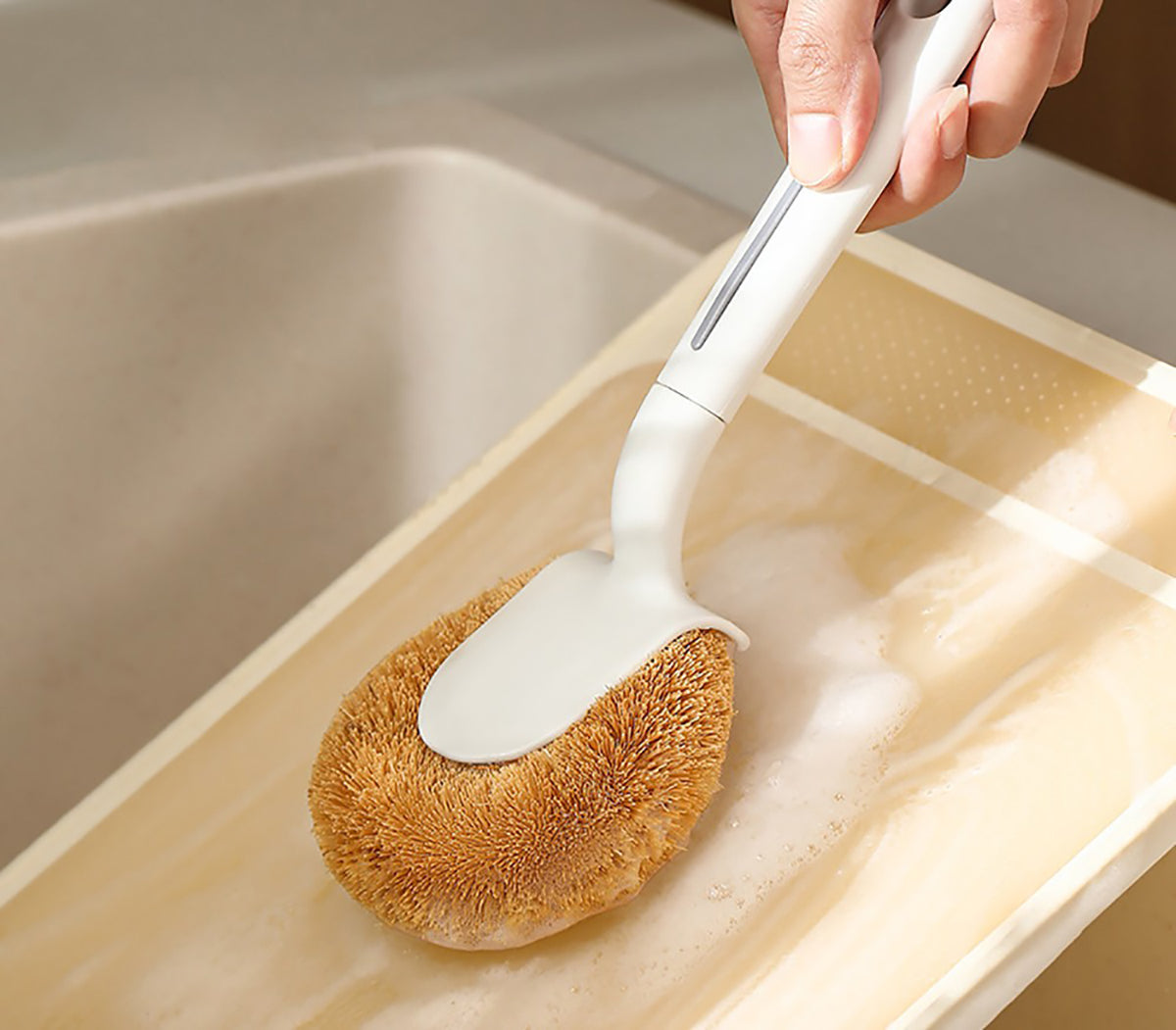 Fasola-Coconut-Fiber-Pot-Brush-Dish-Brush-Dishwashing-Brush-with-Handle-White-X2Pack-1