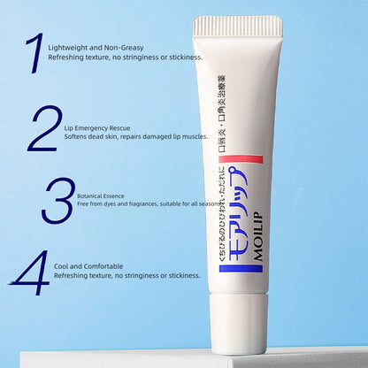 Shiseido Moilip Medicated Lip Balm for Angular Cheilitis Treatment 8g 1pack