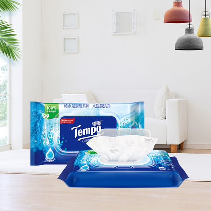 Tempo Free Shipping Freshfeel Flushable Water Wet Toilet Paper Wet Wipes 40Sheets X 3pack