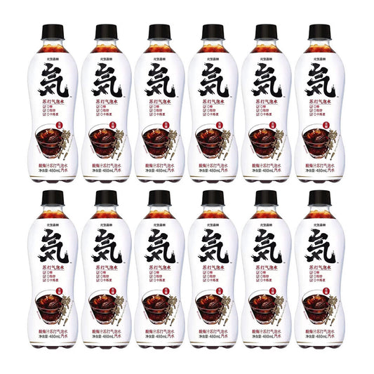 genki-forest-plum-juice-flavored-sparkling-water-480mlx12pack-1