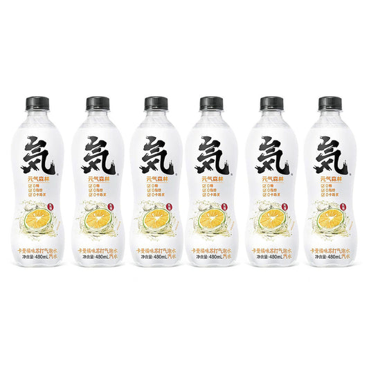 genki-forest-kaman-orange-flavored-sparkling-water-480ml*6pack-1