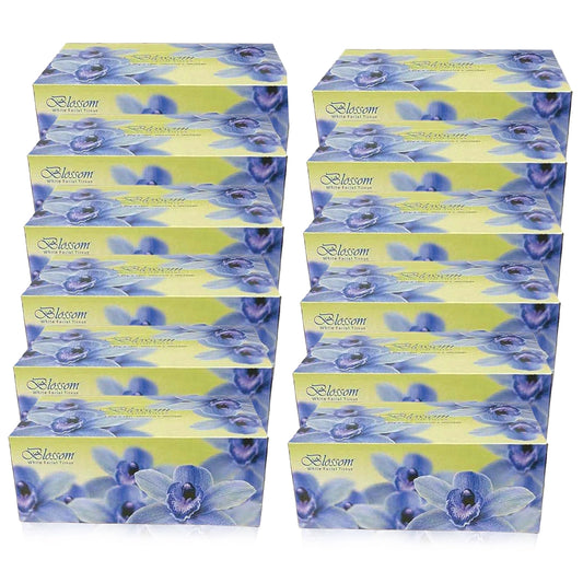 blossom-tissue-paper-2-ply-thick-box-(180-count)-x-12pack-1